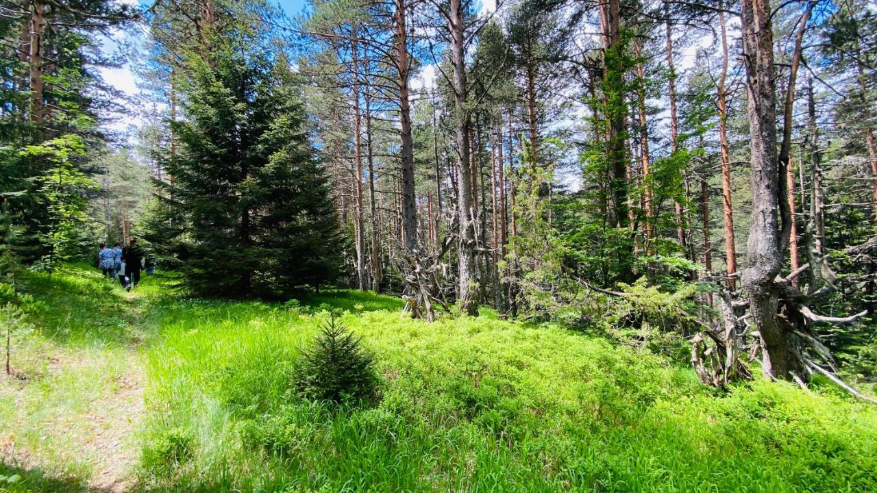 Eco Village Pavlovic Žabljak Esterno foto