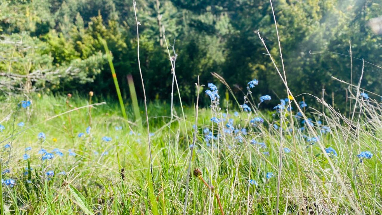 Eco Village Pavlovic Žabljak Esterno foto