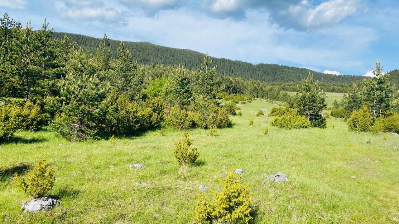 Eco Village Pavlovic Žabljak Esterno foto