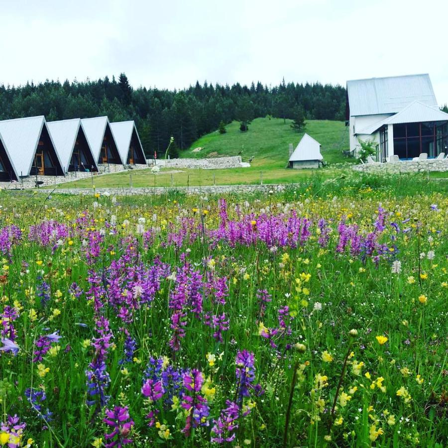 Eco Village Pavlovic Žabljak Esterno foto