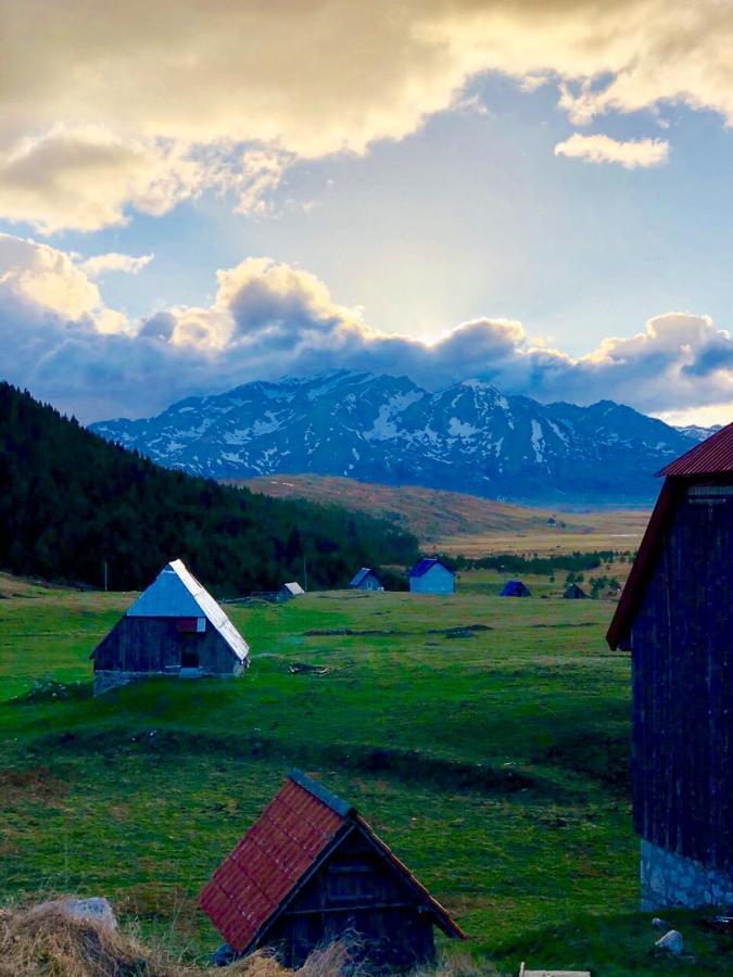 Eco Village Pavlovic Žabljak Esterno foto