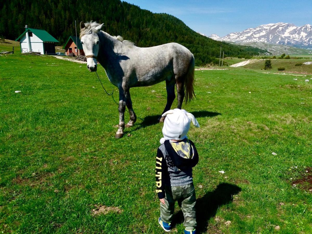 Eco Village Pavlovic Žabljak Esterno foto